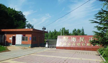 民正农牧签约上线易农猪场管理系统